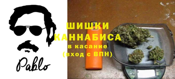 прущие грибы Аркадак