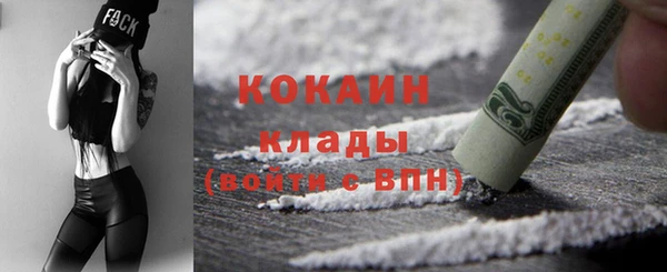 прущие грибы Аркадак