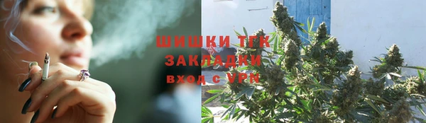 амф Арсеньев