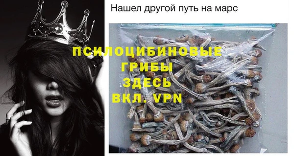 амф Арсеньев