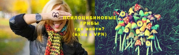 амф Арсеньев