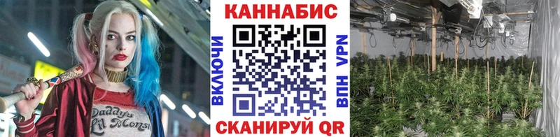 Канабис Ganja Данков